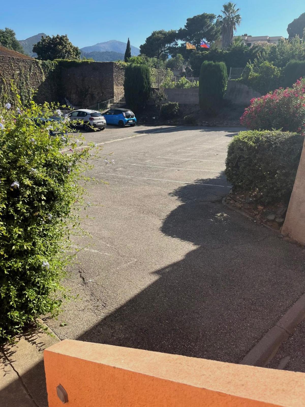 Appartement Collioure, Grande Terrasse Et Parking Exteriör bild