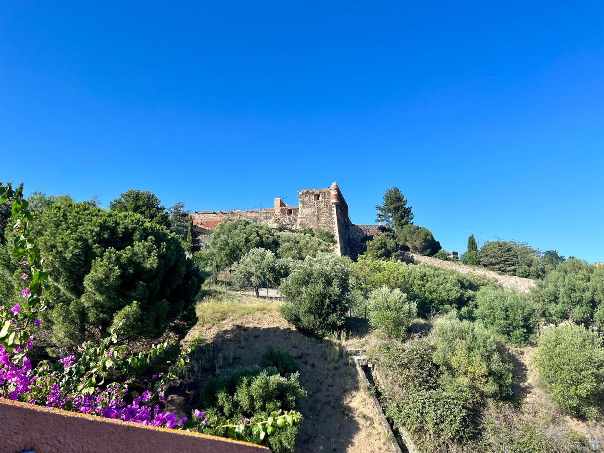 Appartement Collioure, Grande Terrasse Et Parking Exteriör bild