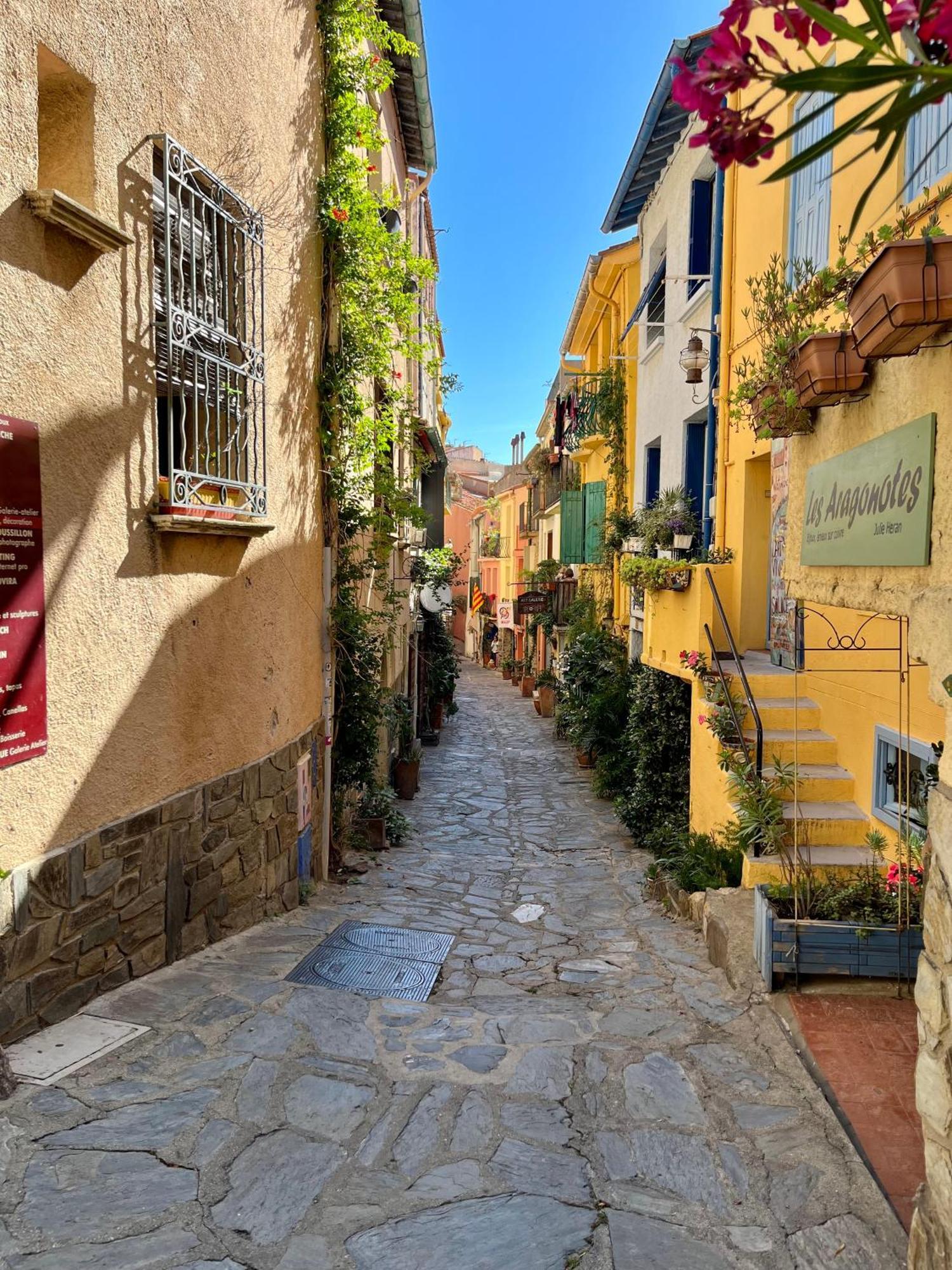 Appartement Collioure, Grande Terrasse Et Parking Exteriör bild